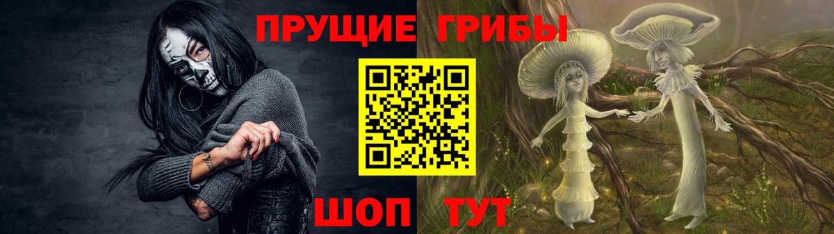 Псилоцибиновые грибы GOLDEN TEACHER  Вход с VPN  Гай 
