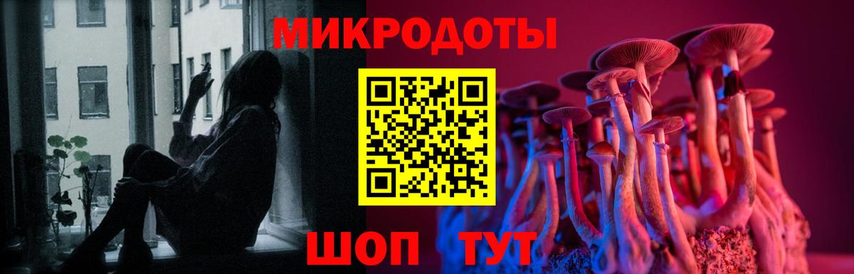 Псилоцибиновые грибы ЛСД  Гай  Галлюциногенные грибы Cubensis 