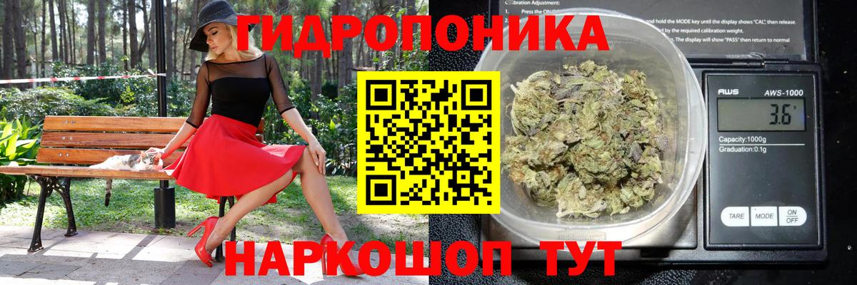 Канабис марихуана Гай